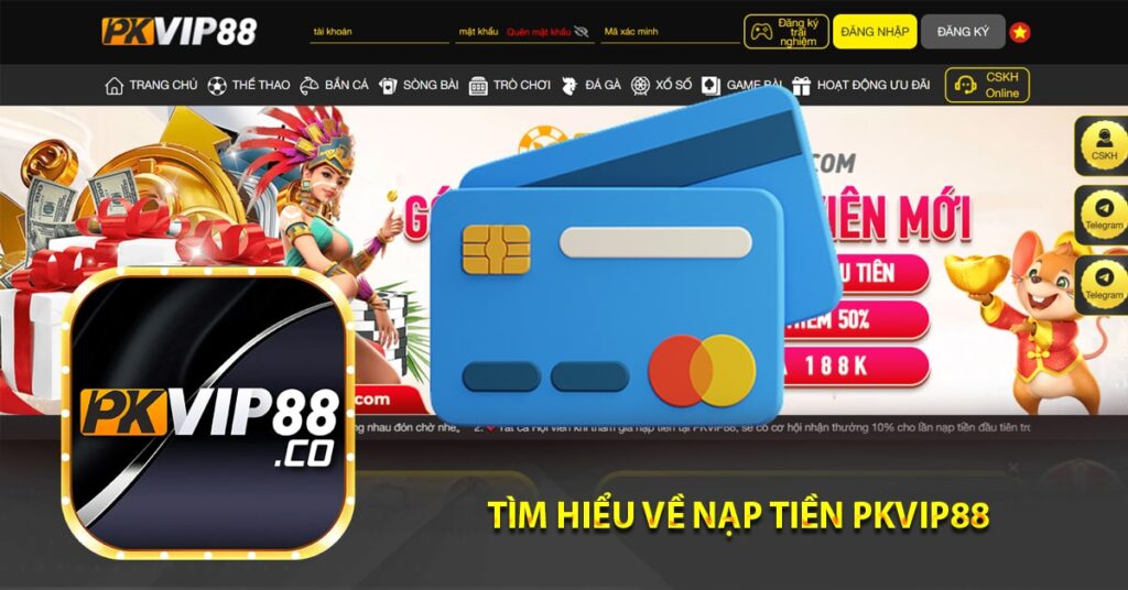 Tìm hiểu về nạp tiền PKvip88