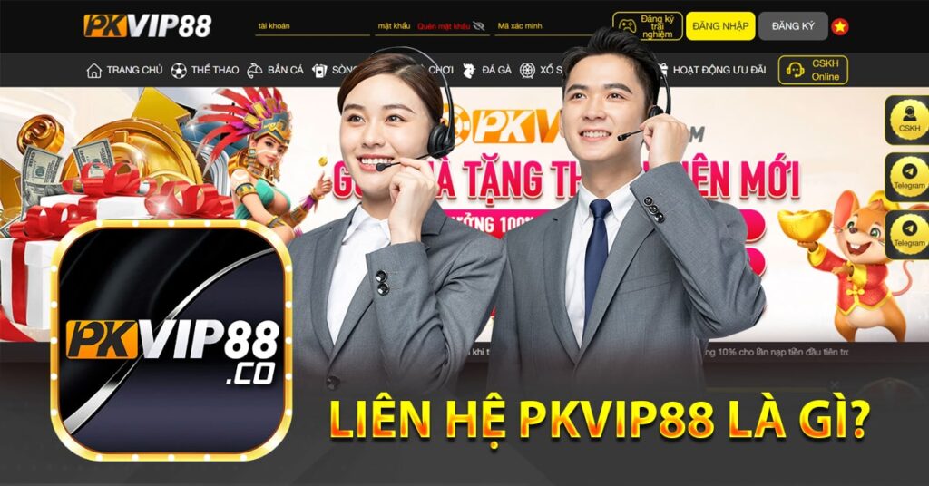Liên hệ PKvip88 là gì?