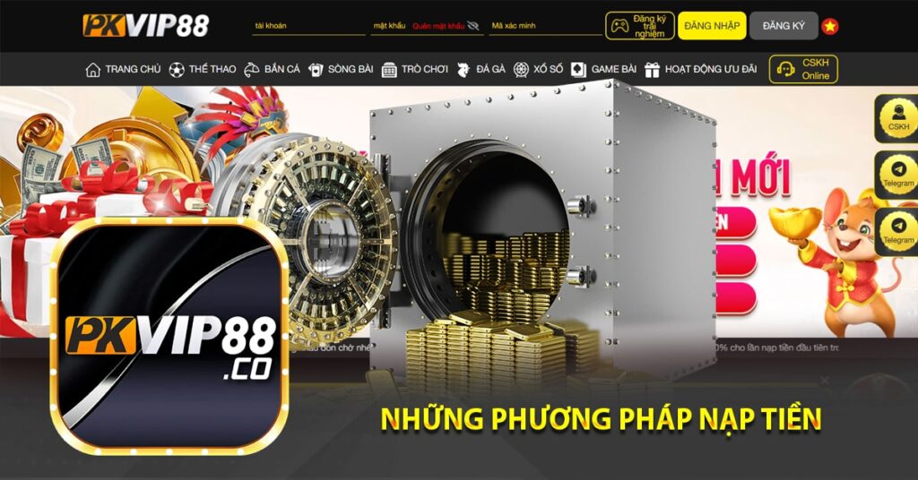 Những phương pháp nạp tiền