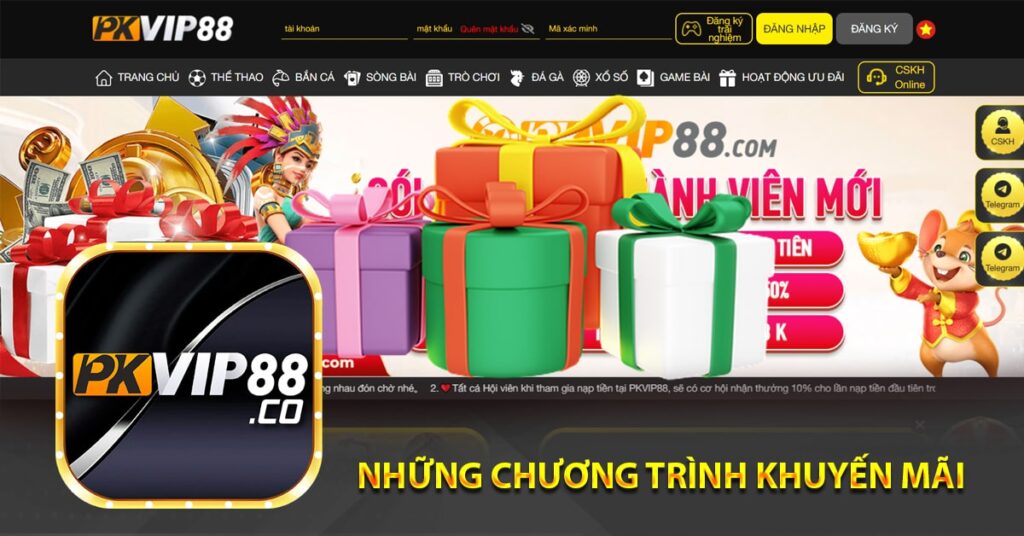 Những chương trình khuyến mãi