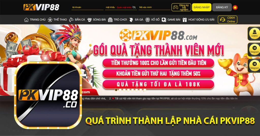 Quá trình thành lập nhà cái