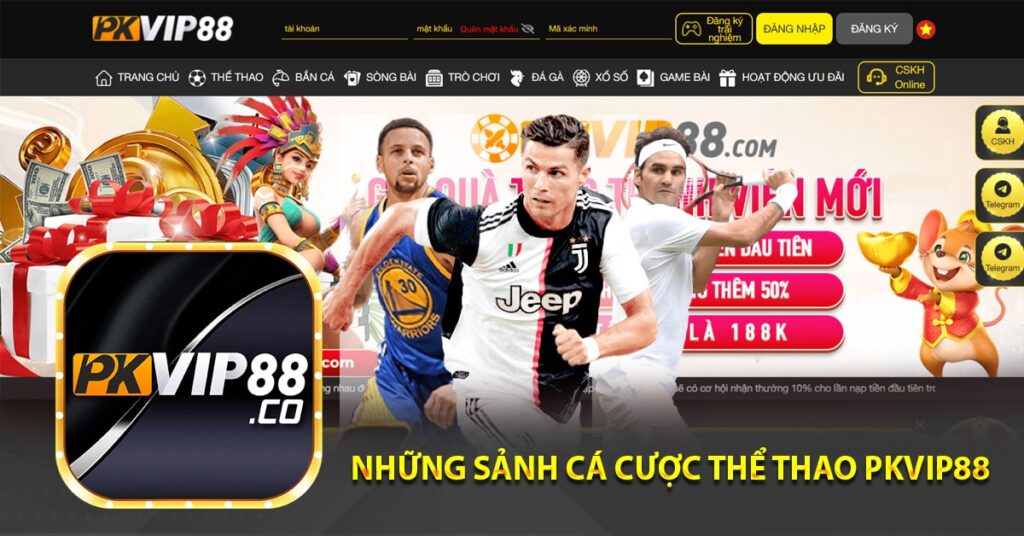 Những sảnh cá cược thể thao pkvip88