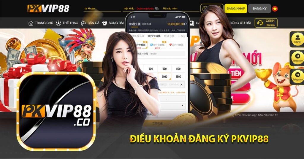 Điều khoản đăng ký