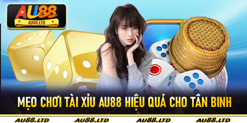Mẹo chơi Tài Xỉu Au88 hiệu quả cho tân binh