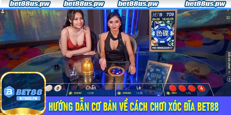 Hướng Dẫn Cơ Bản Về Cách Chơi Xóc Đĩa Bet88