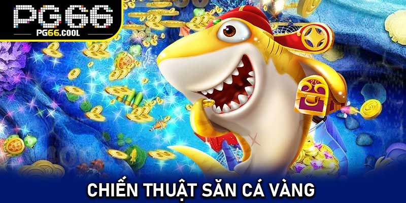 Chiến thuật săn cá vàng